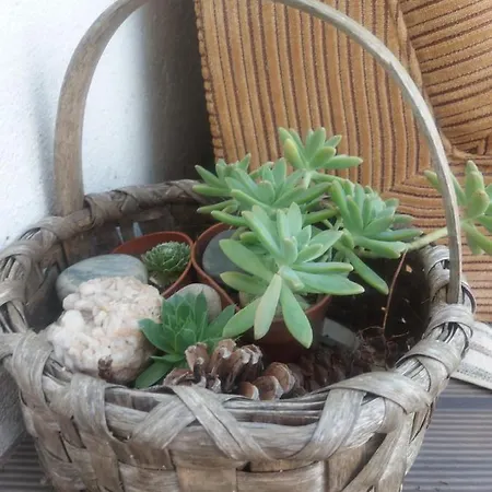 Farmház D. Mariantonia Complexo Turistico Bragança