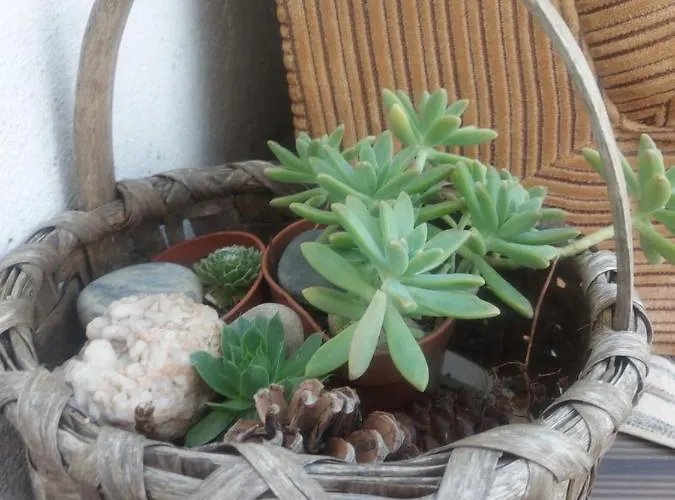 Feriegård D. Mariantonia Complexo Turistico Bragança