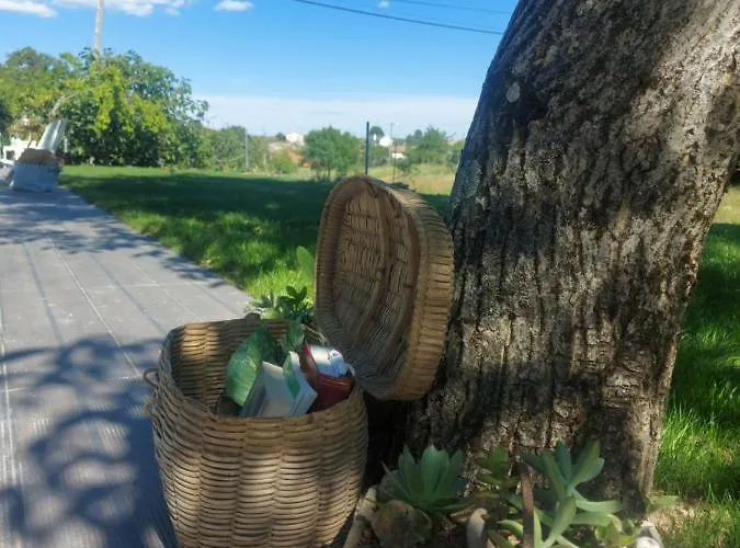 D. Mariantonia Complexo Turistico Lantgård Bragança